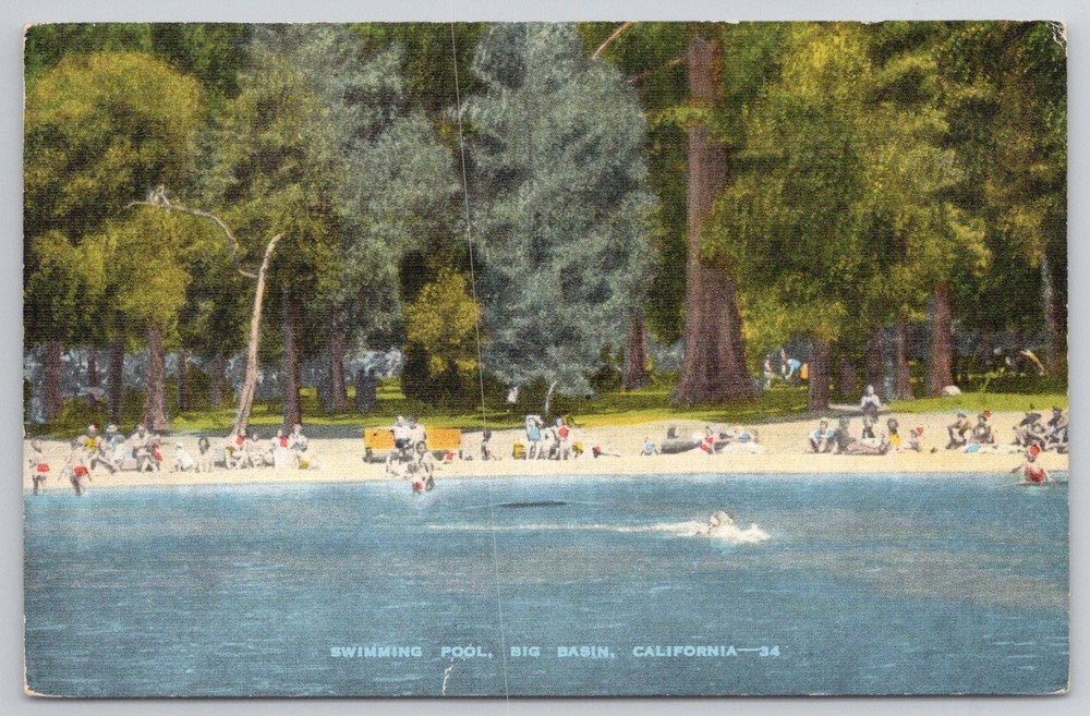 Big Basin California Swimming Pool Redwoods E. C. Kropp Postcard c1930s