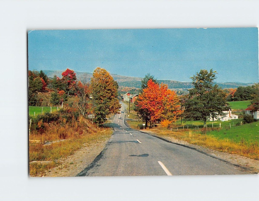Postcard Country Road Autumn Nature Scene