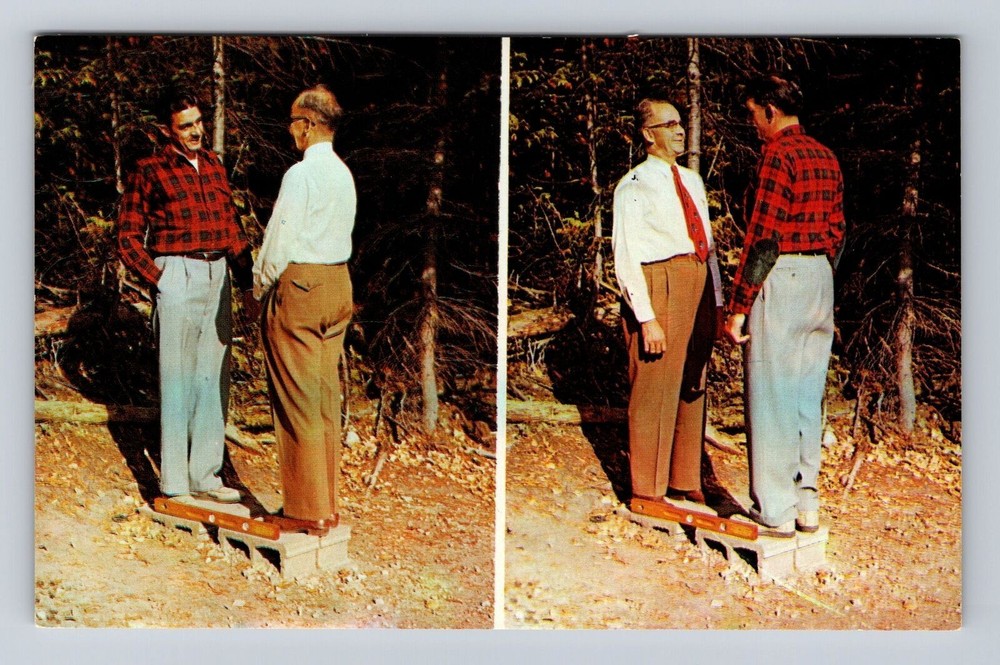St Ignace MI-Michigan, The Mystery Spot, Antique, Vintage Souvenir Postcard