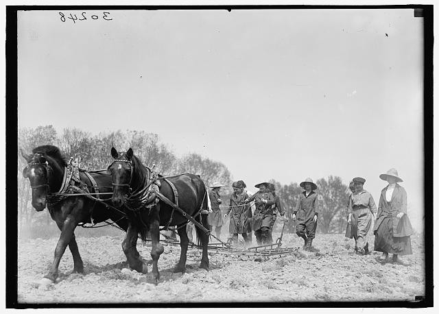 1919 Girl Scouts National Emergency War Gardens Committee Horses Plowing