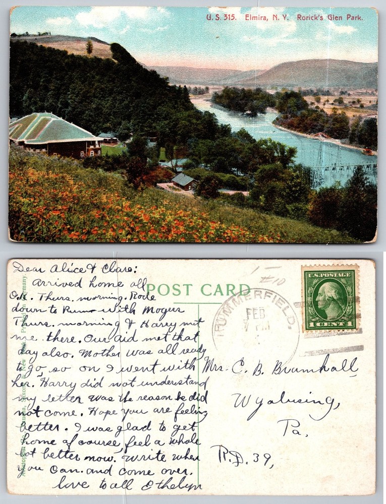 Elmira NY Rorick's Glen Park Postcard c. 1910s Chemung River Landscape