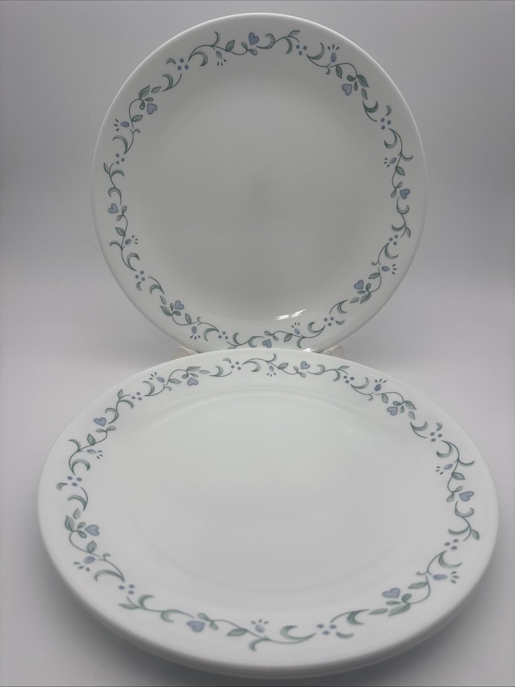 Corelle Country Cottage Glass Dinner Plates 10.25
