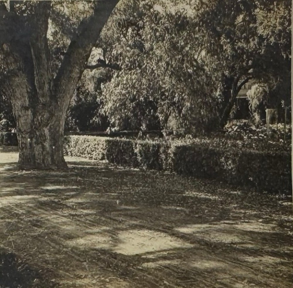 c1915 Park Scene - One of a Kind Family Travel Photo Stereoview