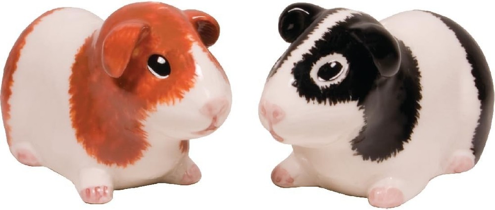 Guinea Pig Salt and Pepper Shaker Set