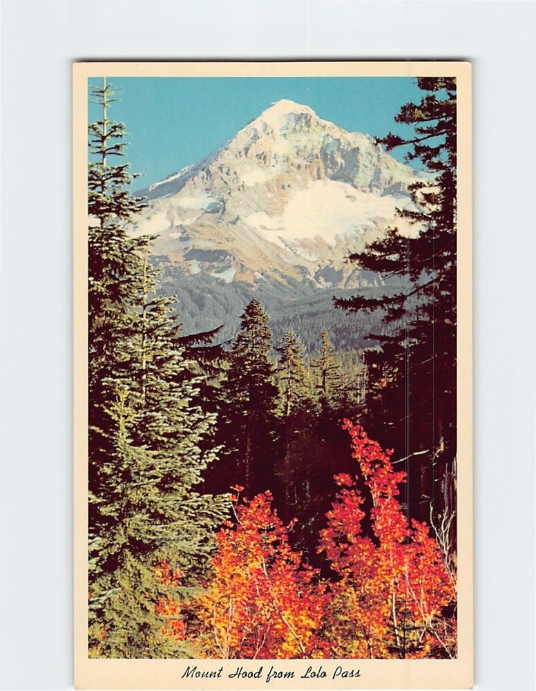 Postcard Mount Hood From Lolo Pass Oregon