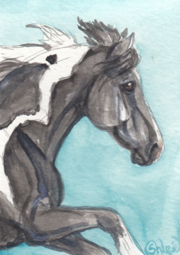 ACEO original Watercolor Art Card HORSE black tobiano Friesian Sport cross pinto