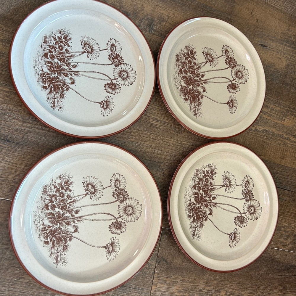 Noritake Desert Flowers Stoneware Salad Plates Set of 4 Brown Daisy S 321 Japan