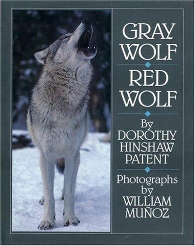 Gray Wolf, Red Wolf by Dorothy Hinshaw Patent (1990, Hardcover)
