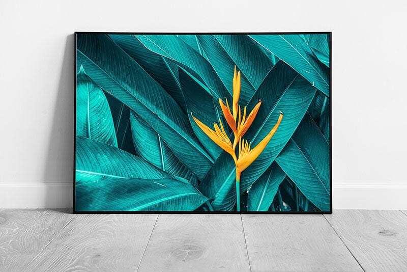 Colourful Exotic Yellow Flower On Dark Teal Foliage Wall Art Print on Paper