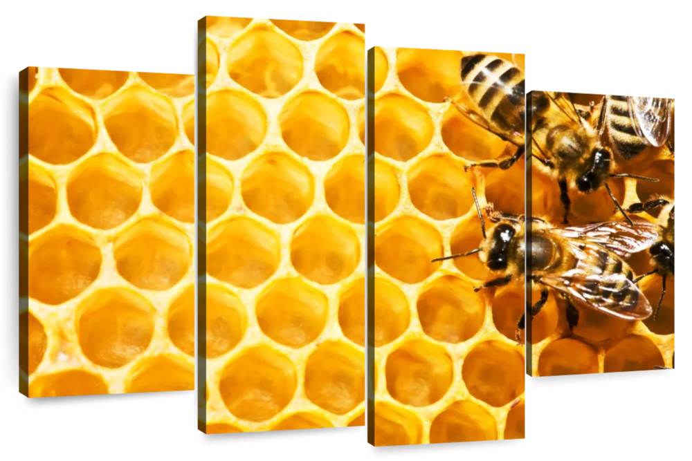 Honey Bee Hive Wall Art