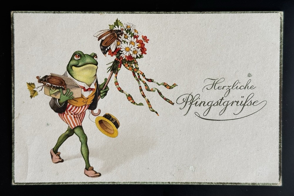 Antique German Frog Postcard Herzliche Pfingstgrüße Gentleman Frog c1908