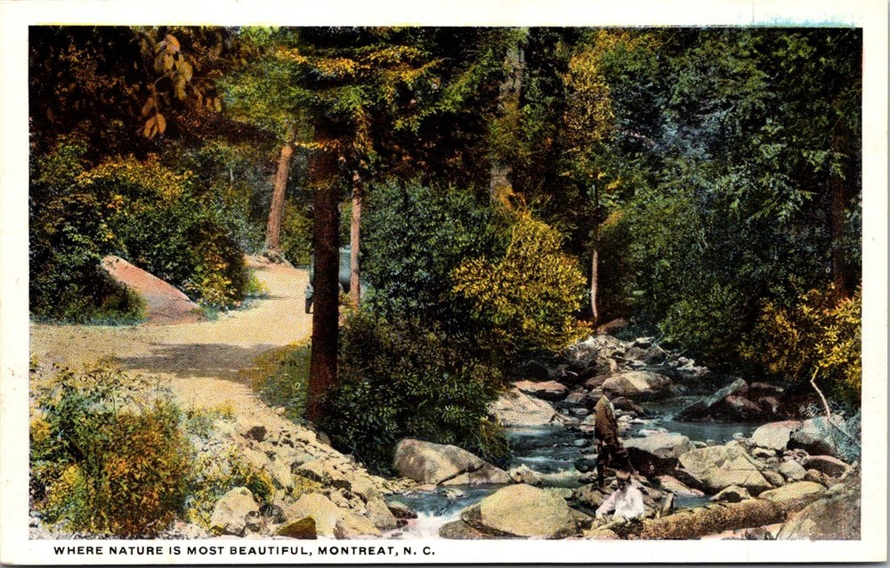 Dr Jim Stamps Postcard Montreat North Carolina Man Boy Rocky Stream