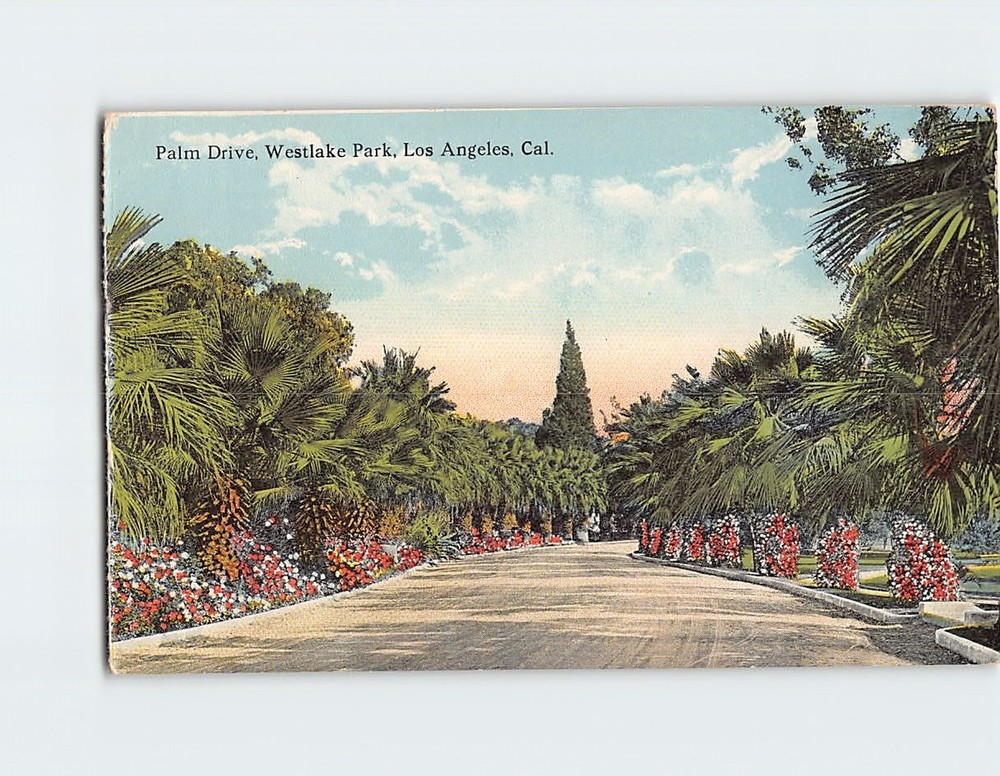 Postcard Palm Drive Westlake Park Los Angeles California USA