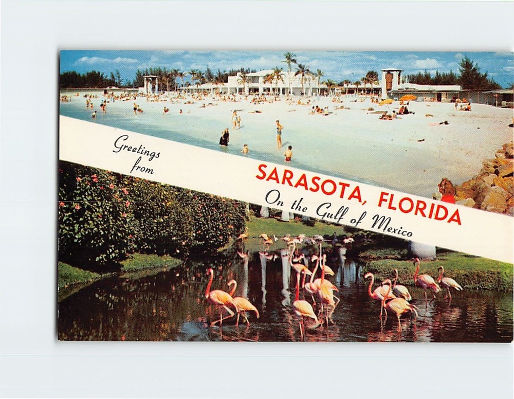Postcard On the Gulf of Mexico Greetings from Sarasota Florida USA