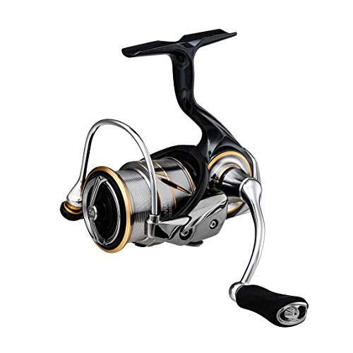 Daiwa LT2000S-XH Spinning Reel 20 Rubius FC 2020 Model Freshwater Saltwater Fishing