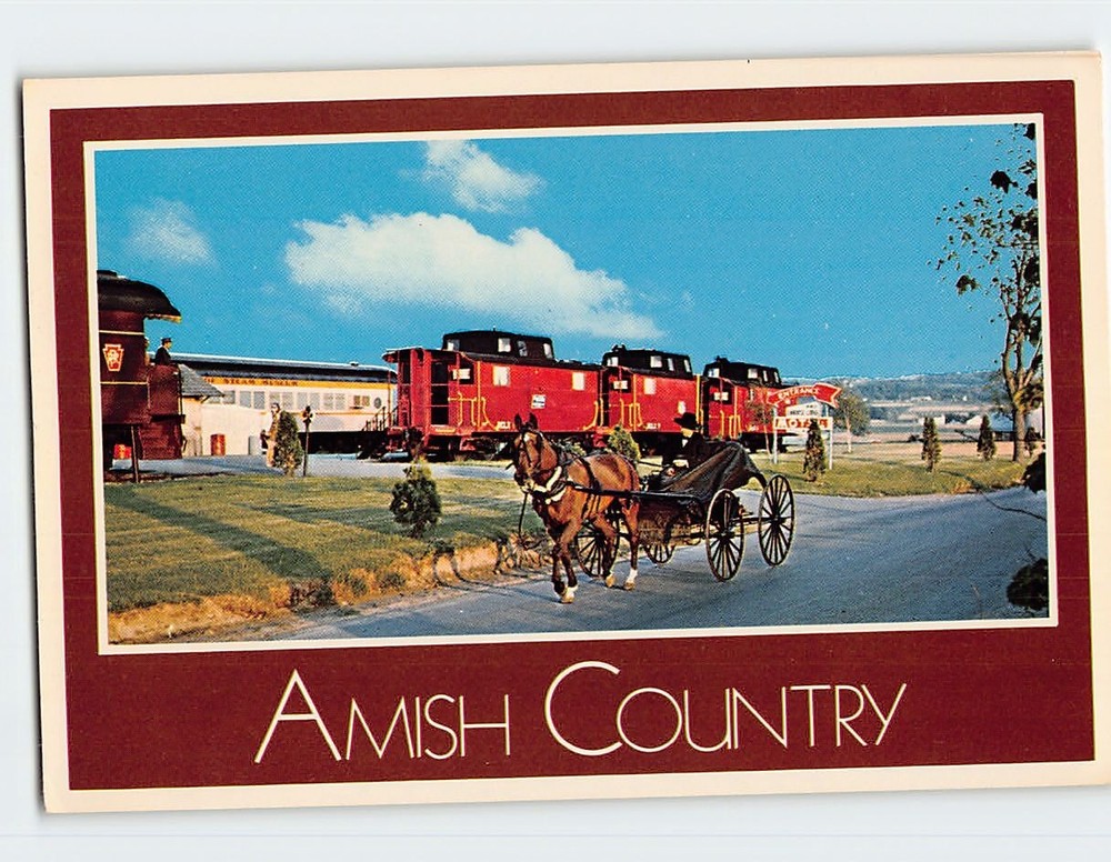 Postcard Amish Boy & His Courting Buggy Pennsylvania USA
