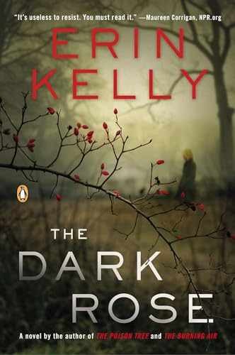 The Dark Rose: A Novel - Paperback, by Kelly Erin - Very Good