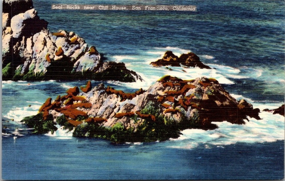 Vintage Linen Postcard Seal Rocks Cliff House San Francisco CA Seals