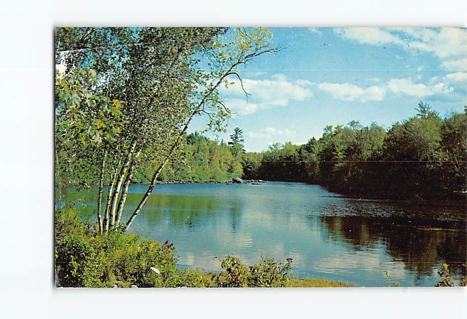 Postcard Beautiful Lake Nature Scene