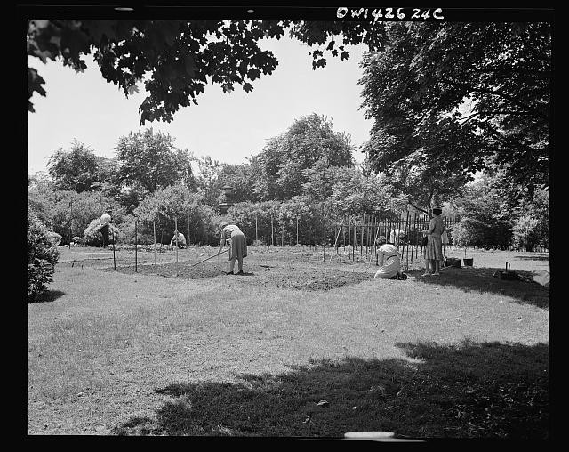 Photo:New York NY 1944 Victory Gardening Charles Schwab Estate