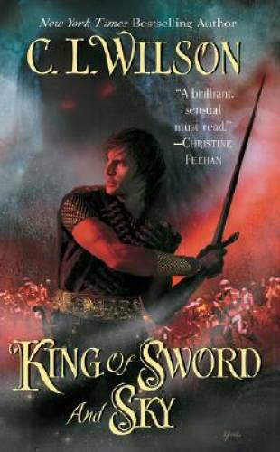 King of Sword and Sky Tairen Soul Mass Market Paperback Good Condition  