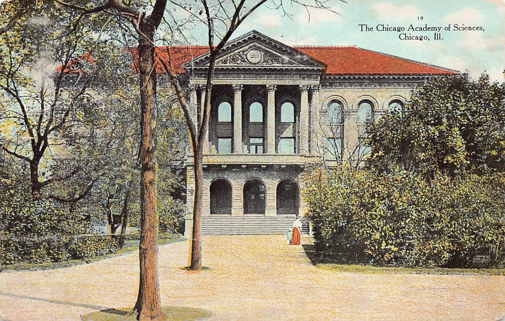 Chicago Academy of Sciences Lincoln Park IL Illinois Museum Vtg Postcard Y4-image