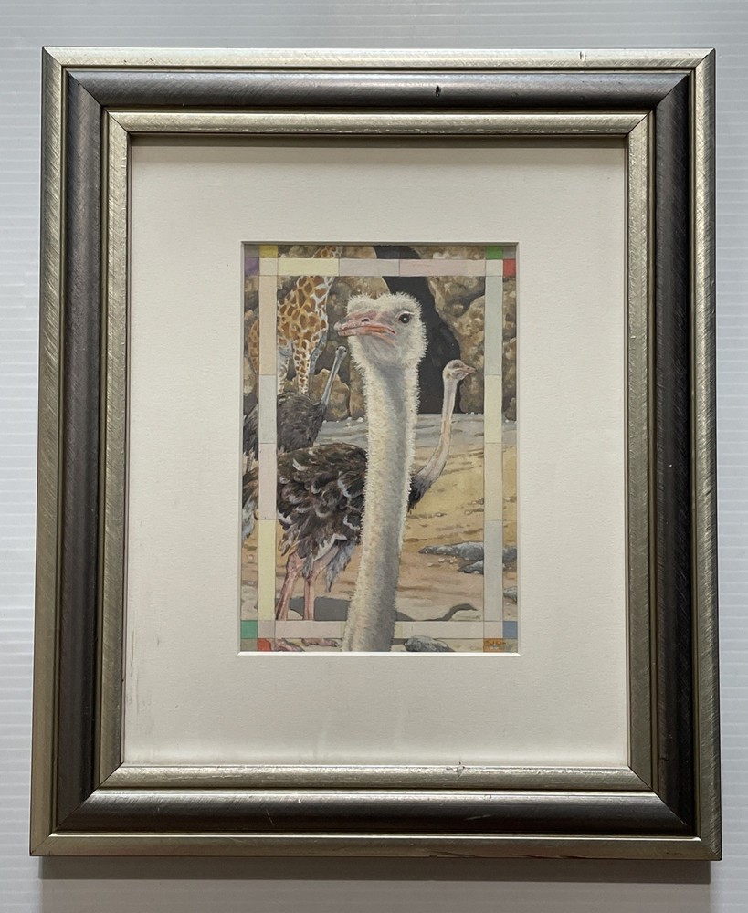 OSTRICH WATERCOLOR PAINTING Silver Frame SIGNED BY ARTIST B. WALKER 12.5x10.5”