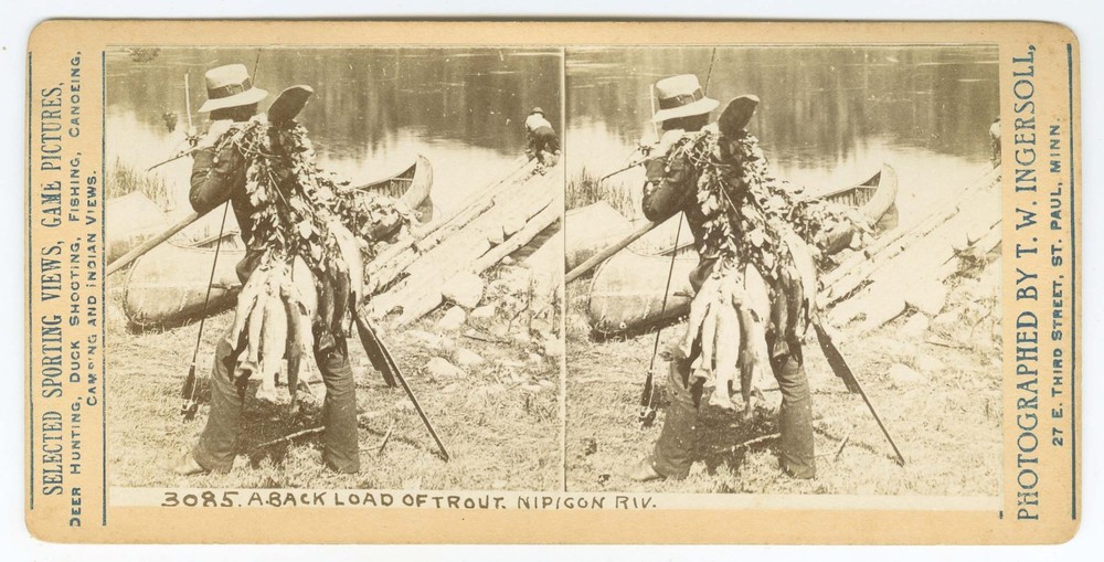 D1763~ CANADA – Nipigon River Load Of Trout Fishing Stereoview-Ingersoll
