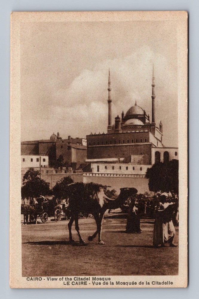 Egypt - Cairo Citadel Mosque Camel Souvenir Old Card PC View Vintage Postcard