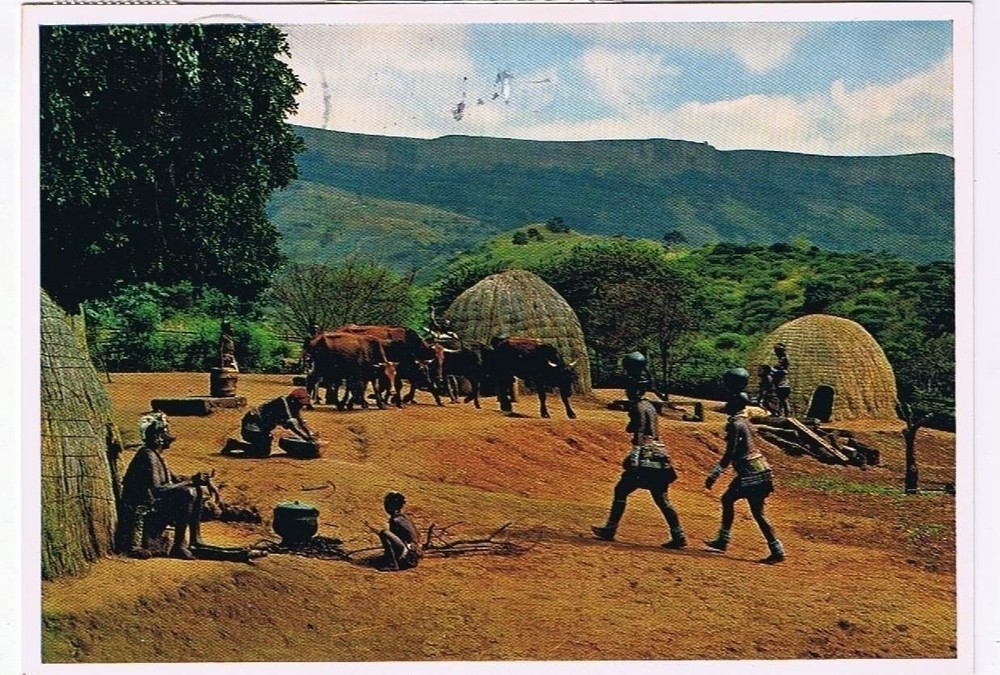 Natal Africa Postcard Zulus At Home Bantu Reserve Nagle Dam Valley of 1000 Hills