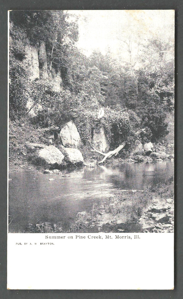 MT. MORRIS ILLINOIS Summer on Pine Creek c. 1900 Undivided Back Postcard