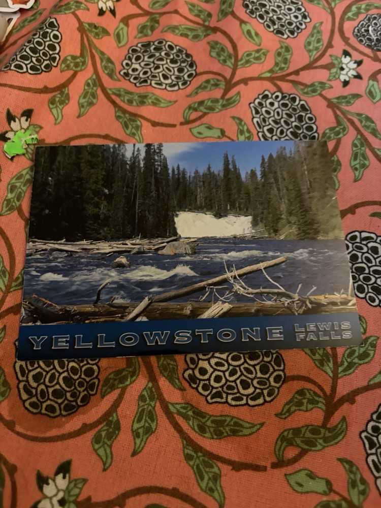 Vintage Yellowstone National Park Mint