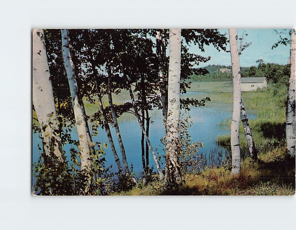 Postcard Greetings From Greenwood Lake New York USA