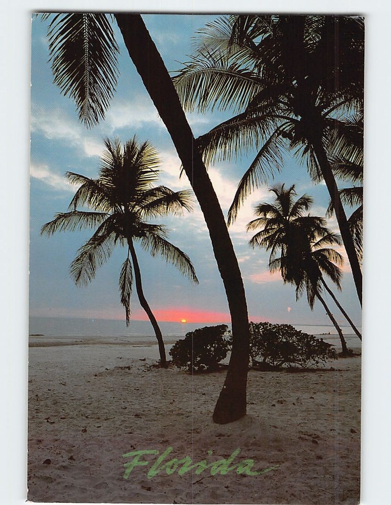 Postcard Sunset Beach Scene in Florida USA