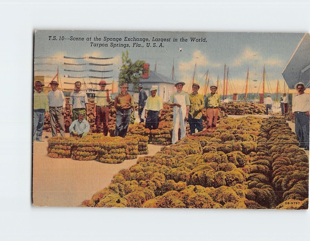 Postcard Scene at the Sponge Exchange Tarpon Springs Florida USA