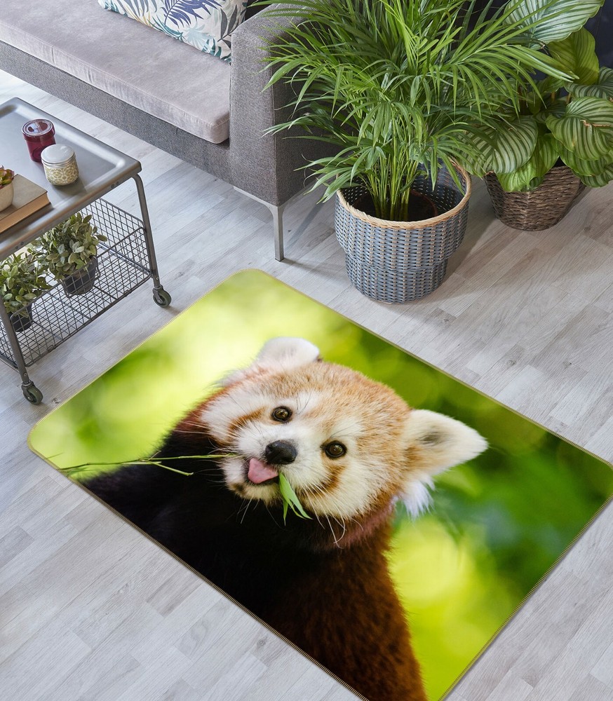 3D Cute Red Panda O3056 Animal Non Slip Rug Mat Elegant Photo Carpet Fay