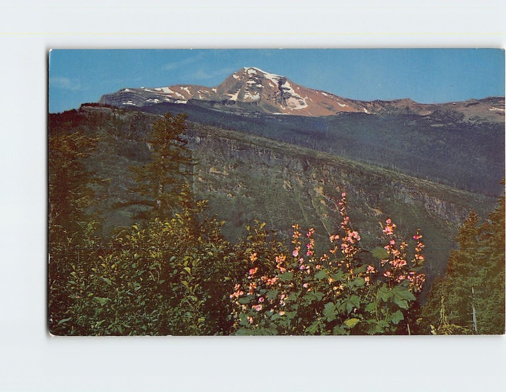 Postcard Heavens Peak Glacier National Park Montana USA