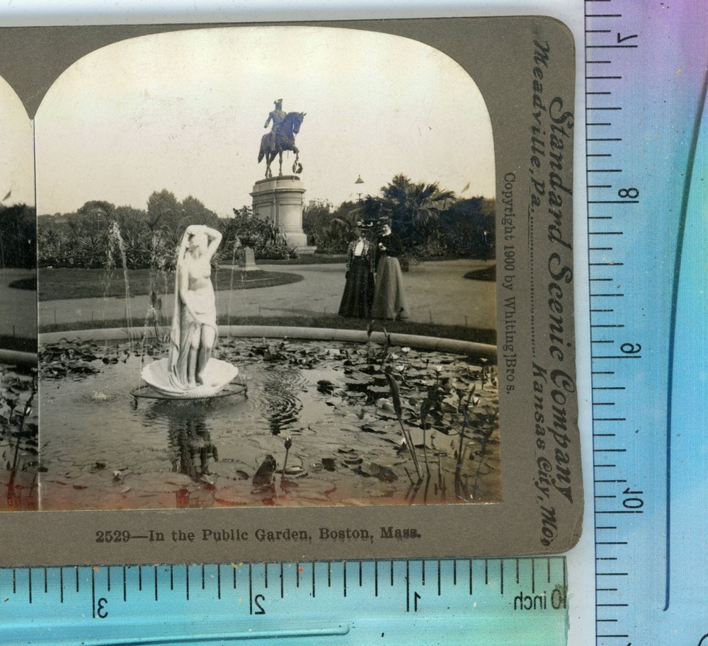 In The Public Garden Boston MA Massachusetts Standard Stereoview