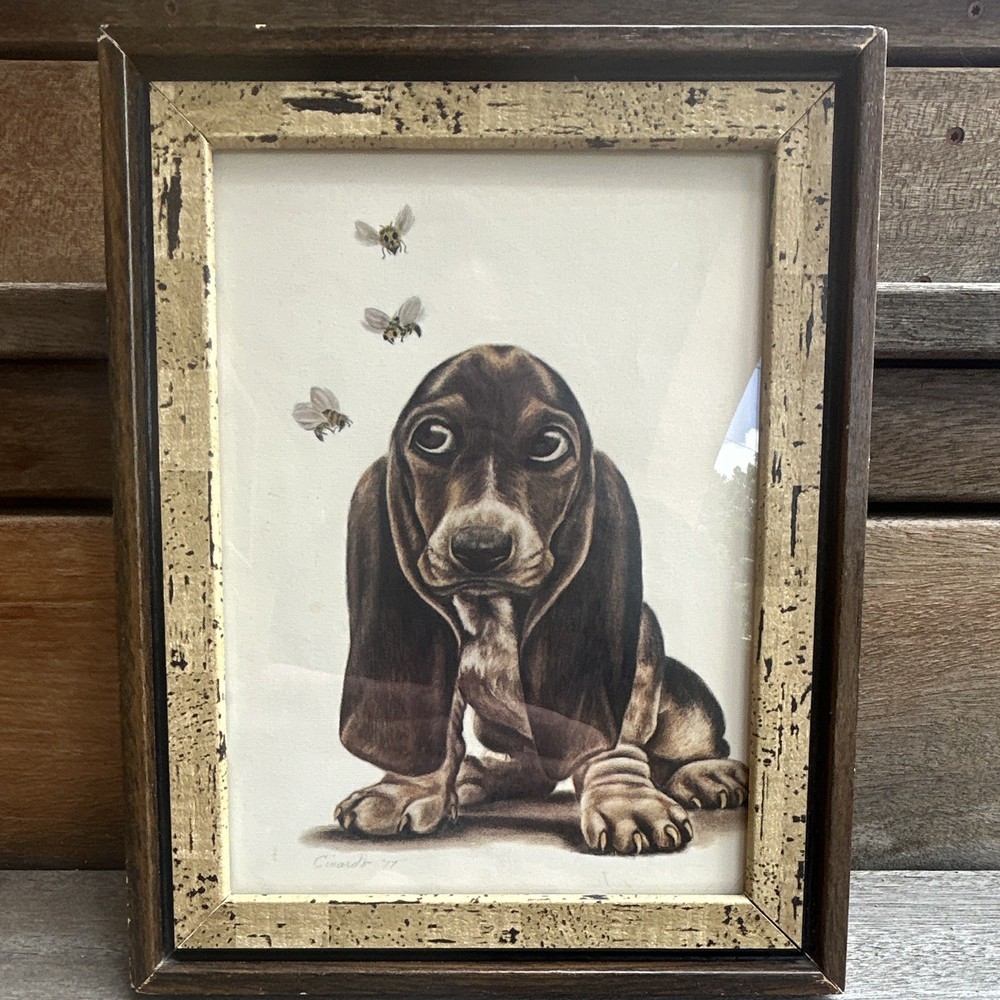 Cinardo Signed Framed Dog & Bee Print 1977 Paper Realism Portrait Small 10in