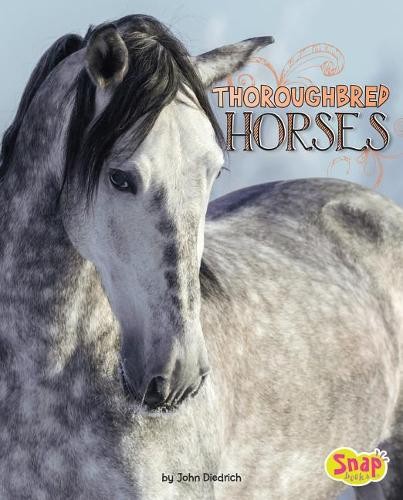 John Diedrich Thoroughbred Horses (Paperback) Horse BreedsAnother great item from Rarewaves USA | Free delivery!