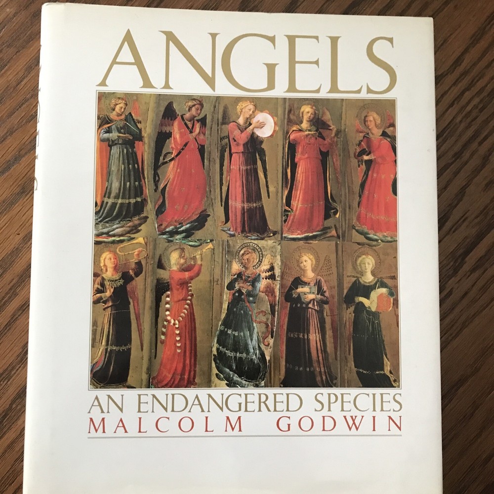 Angels : An Endangered Species by Malcolm Godwin (1990, Hardcover)