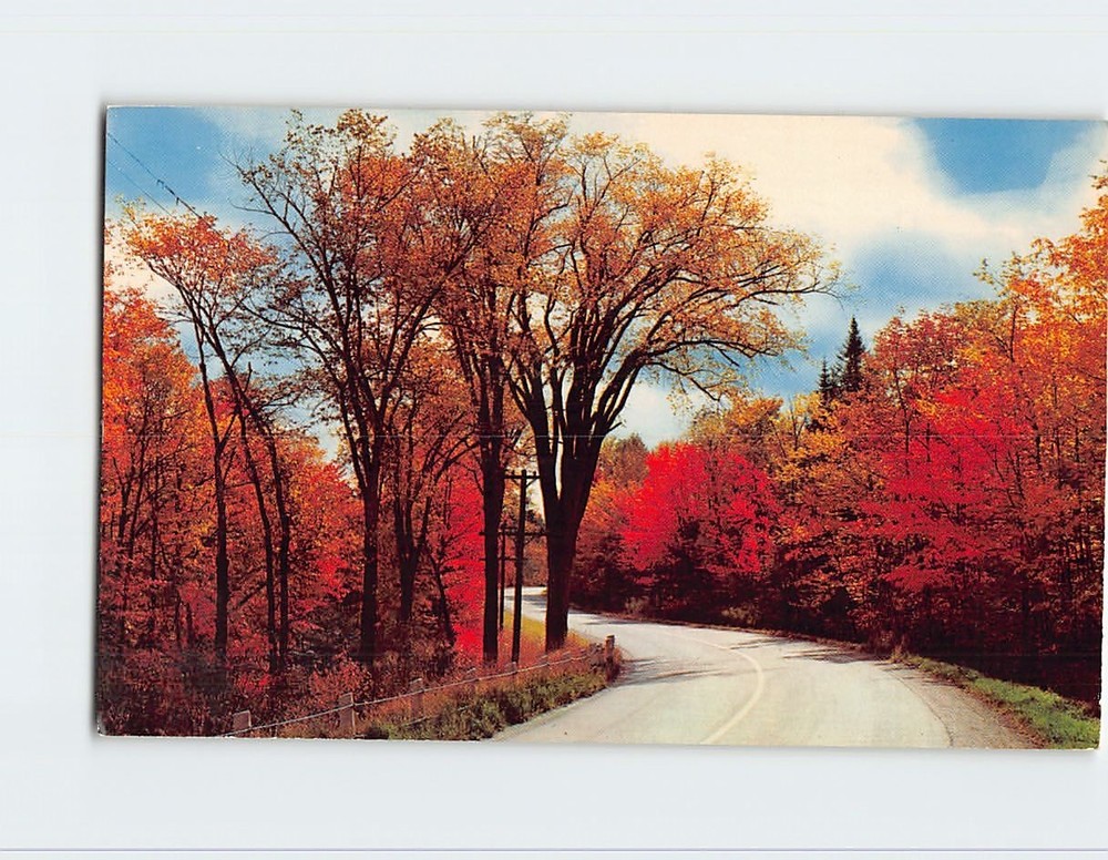 Postcard Autumn Splendor USA North America
