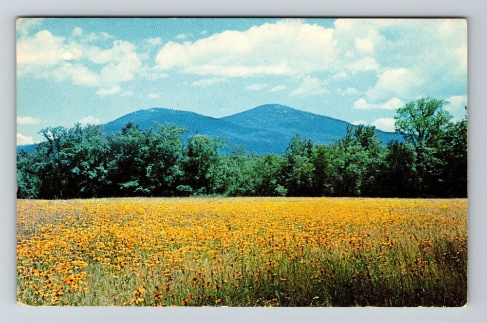 North Conway NH-New Hampshire Mt Kearsarge Scenic Field View Vintage Postcard