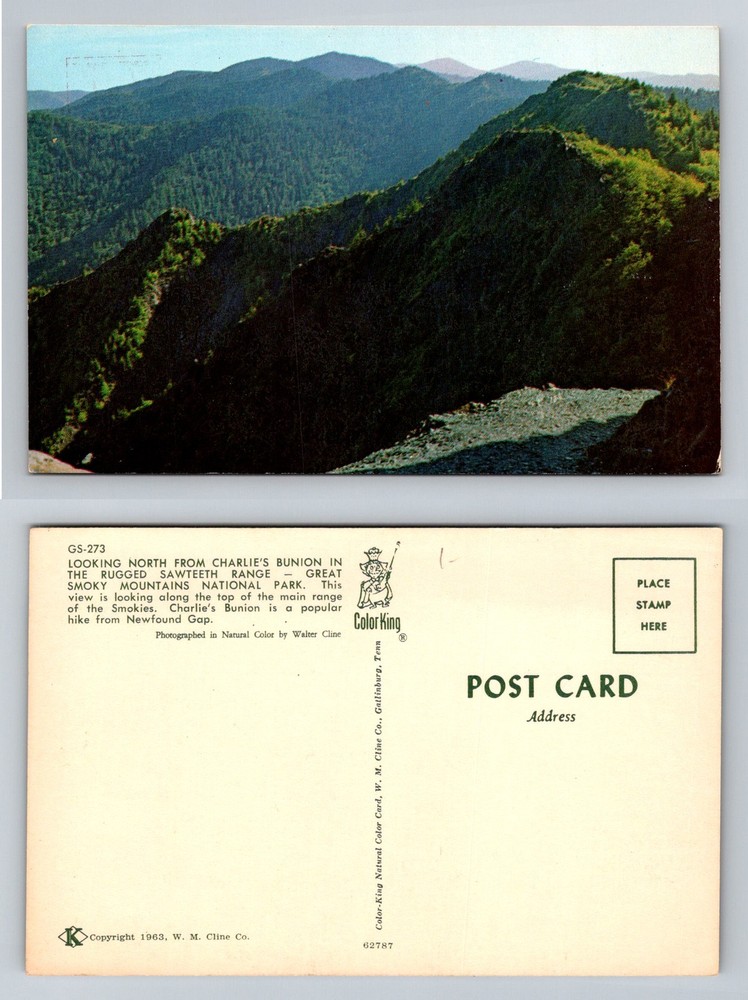 Gatlinburg TN-Tennessee, Charlie’s Bunion Great Smoky Mountains Vintage Postcard