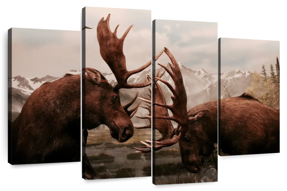 Moose Battle Wall Art