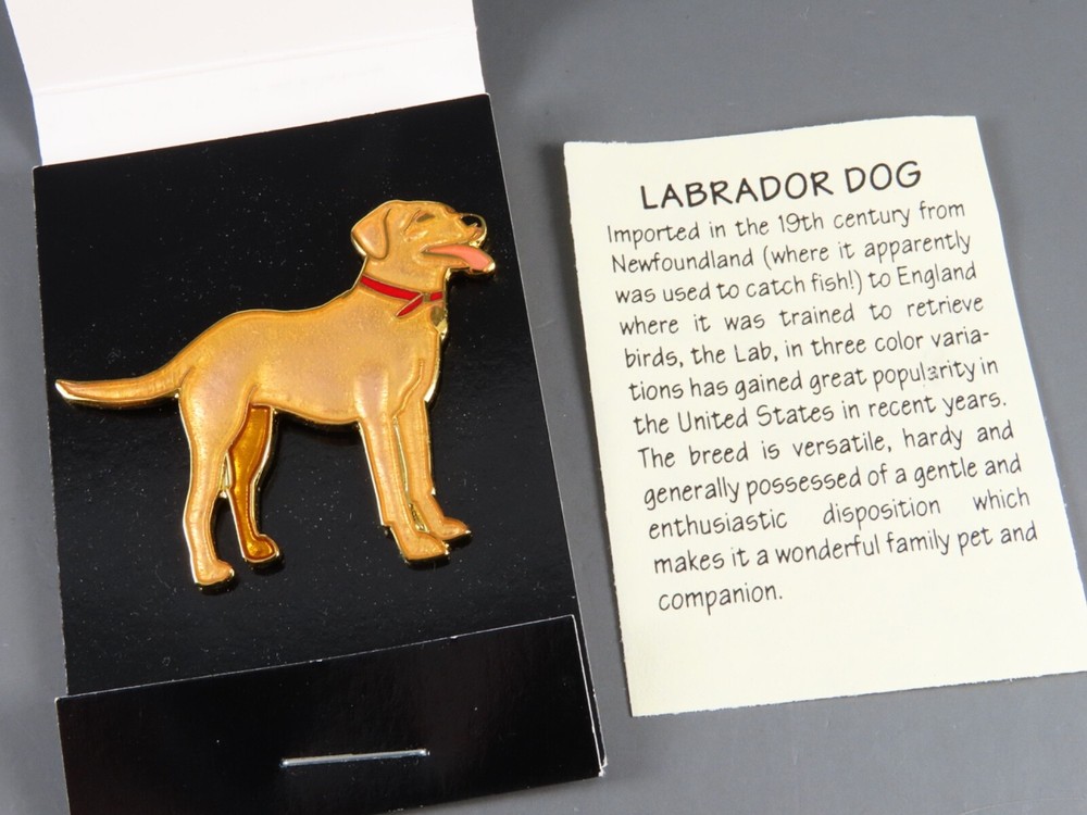 New WM SPEAR DESIGN ALASKA Labrador Dog Enamel Pin Brooch CHAMPLEVE GOLD PLATE