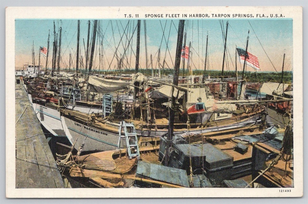 Sponge Fleet Sea Worthy Boats Tarpon Springs Harbor Docks FL Postcard AK21