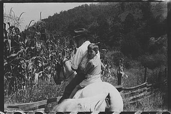 Jackson,Breathitt County,Kentucky,KY,Farm Security Administration,1940,FSA,42