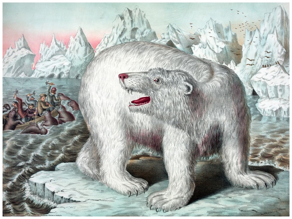 4478.Angry polar bear on iceberg.fishermen on boat.POSTER.decor Home Office art