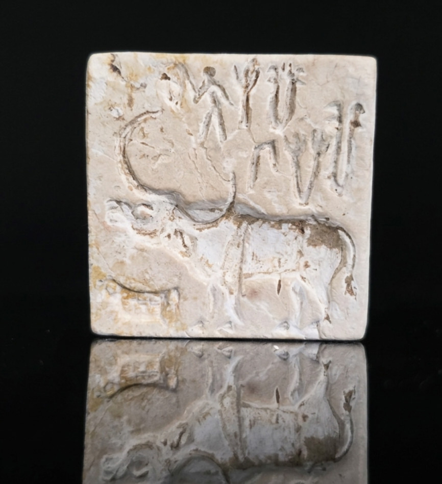 Genuine Indus Valley Bull Seal, Mohenjo-Daro, Harappa, Steatite/LimeStone